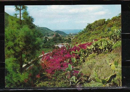 Postales: 6100. VALLE DE AGAETE