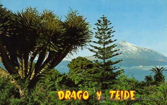 Postales: TEIDE PINTORESCA VEGETACI&Oacute;N Y TEIDE SIN CIRCULAR - Foto 1