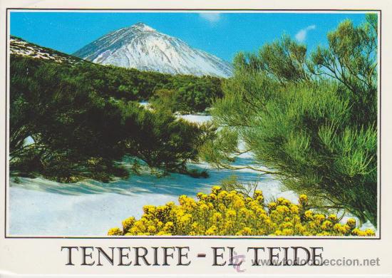 Postales: (5051) TENERIFE. TEIDE - Foto 1