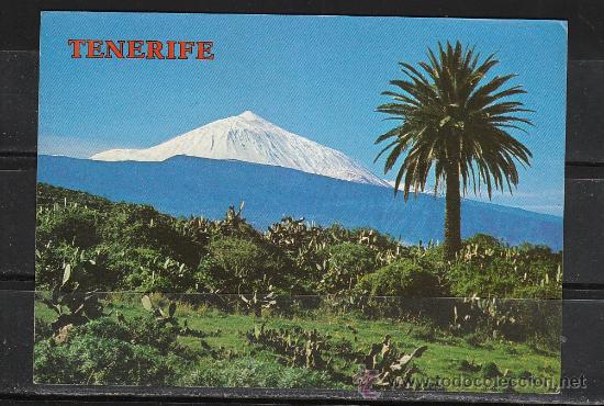 Postales: 5596 - TENERIFE - Foto 1