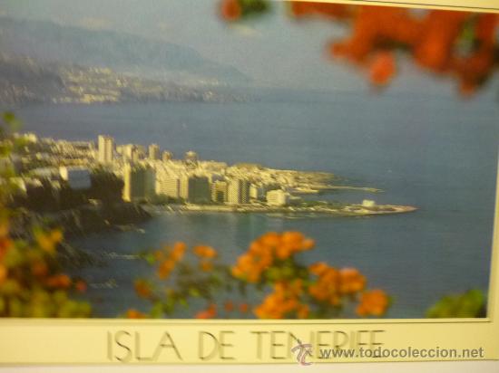 Postales: POSTAL PUERTO CRUZ