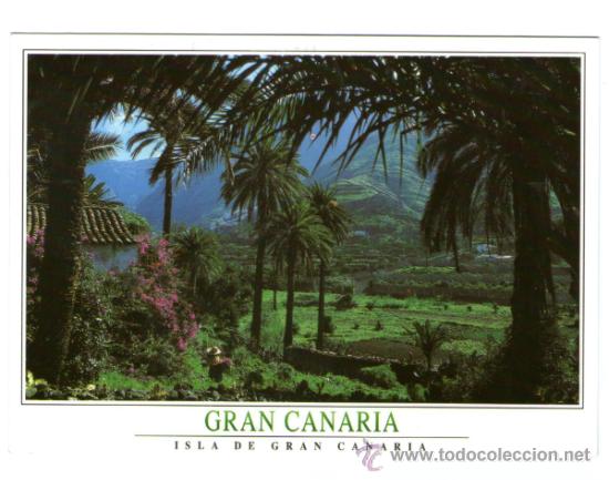 Postales: GRAN CANARIA - CANARIAS - EDICI&Oacute;N CROM&Aacute;TICA - POSTAL - Foto 1