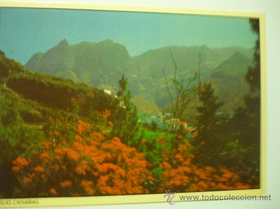 Postales: postal de agaete.-