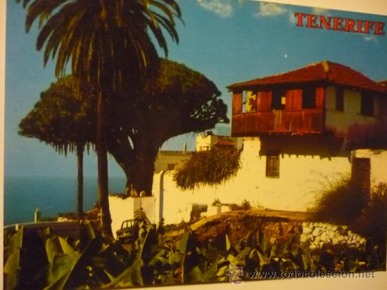 Postales: POSTAL ICOD DE LOS VINOS .- 3089- DRAGO MILENARIO