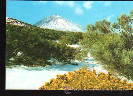 Cartes Postales: TARJETA POSTAL DE SANTA CRUZ DE TENERIFE - TEIDE. 2255