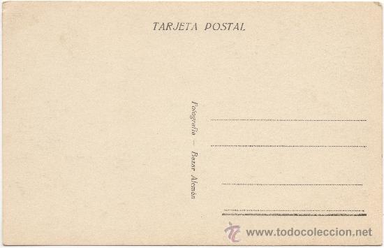 Postales: LAS PALMAS.- UN PLATANAR. - Foto 2