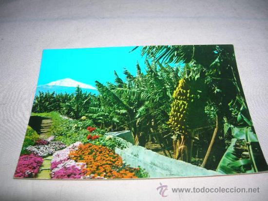 Postales: Postal de Tenerife - Foto 1