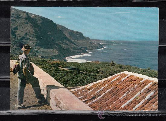 Postales: REHALEJO BAJO. PLATANERAS EN LA COSTA NORTE