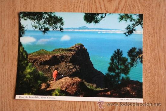 Pinar de Tamadaba. Gran Canaria.
