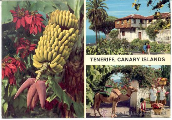 Postales: TENERIFE - Foto 1