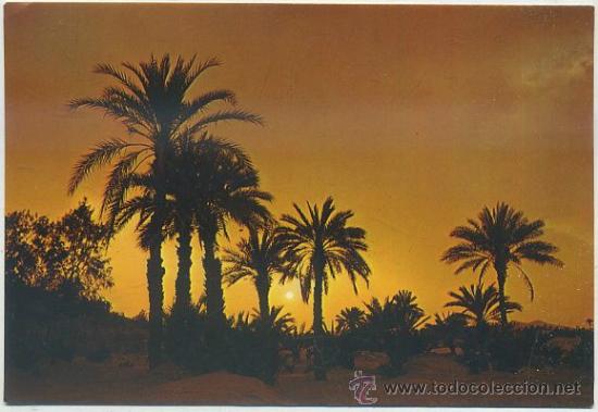 Postales: POSTAL DE CANARIAS. GRAN CANARIA. PAISAJE AL ATARDECER N&ordm; 5206    P-CAN-511