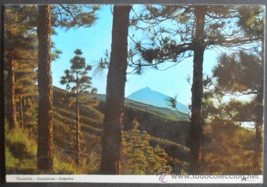 Postales: (212)POSTAL SIN CIRCULAR,VISTA DEL TEIDE AL ATARDECER,SANTA CRUZ DE TENERIFE,SANTA CRUZ DE TENERIFE,