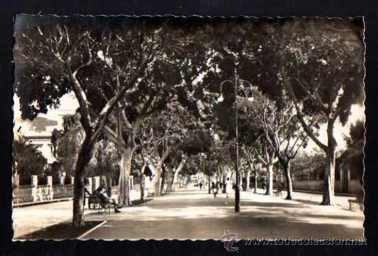 Postales: Sant Cruz de Tenerife. Rambla del General Franco. No circulada