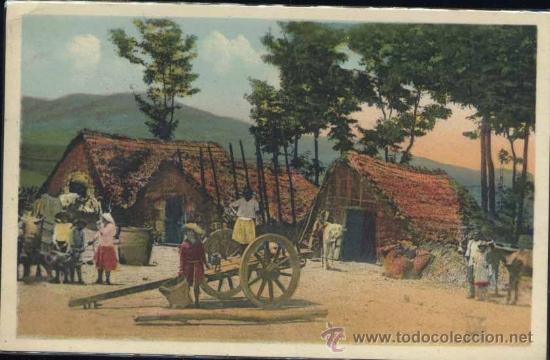 Postales: TENERIFE.- CHOZAS - Foto 1