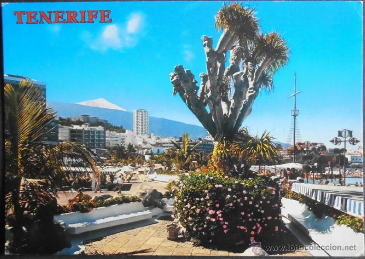 Postales: (7246)POSTAL SIN CIRCULAR,PUERTO DE LA CRUZ (TENERIFE),PUERTO DE LA CRUZ,SANTA CRUZ DE TENERIFE,CANA
