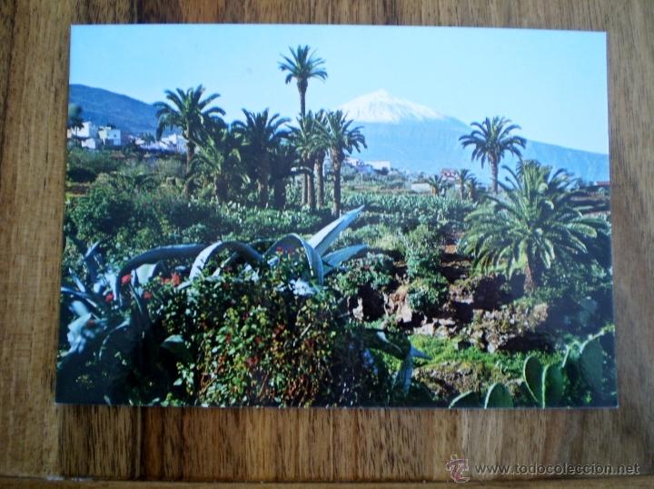 Postales: EL TEIDE PANORAMICA - MINI EDICIONES DAVID 1969 - S/C