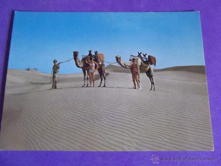 Postales: GRAN CANARIA-V23-NO ESCRITA-MASPALOMAS-VIAJES EN CAMELLO AL DESIERTO