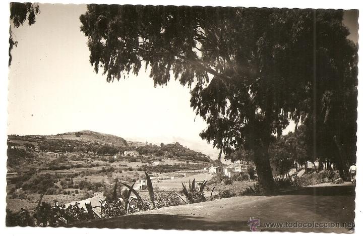 Postales: Tafira, postal antigua - Foto 1