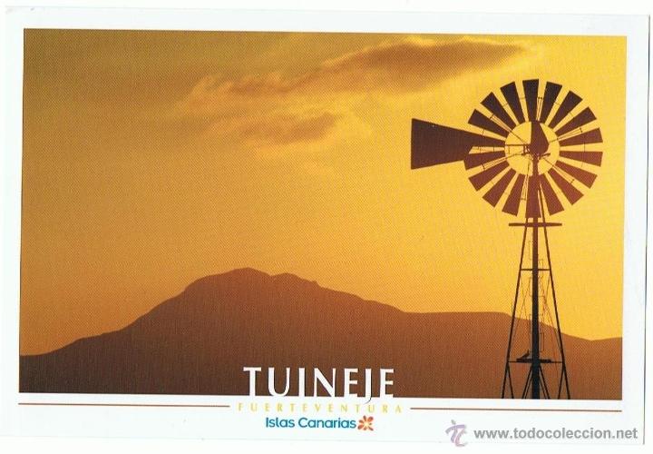Postales: POSTAL TUINEJE FUENTEVENTURA ISLAS CANARIAS SIN CIRCULAR