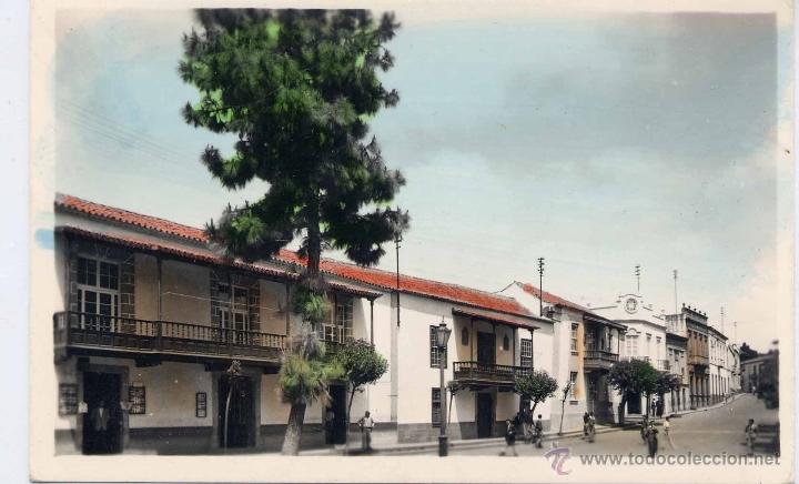 Postales: VILLA DE TEROR (LAS PALMAS).- PLAZA DEL PINO