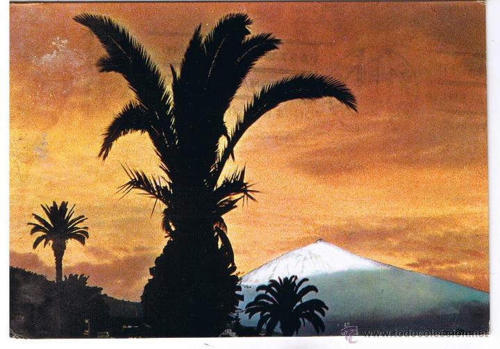 Postales: POSTAL: TENERIFE. PANORAMA DEL TEIDE - Foto 1