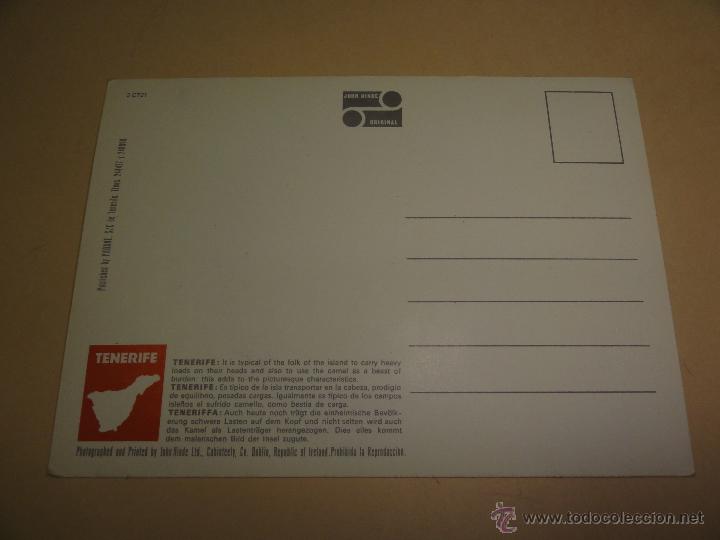 Postales: POSTAL TENERIFE - Foto 2