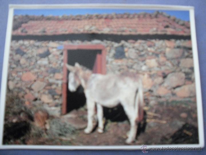 Postales: media postal - la gomera - Foto 1