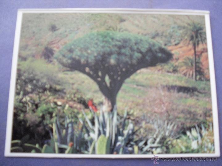 Postales: media postal - la gomera - Foto 1