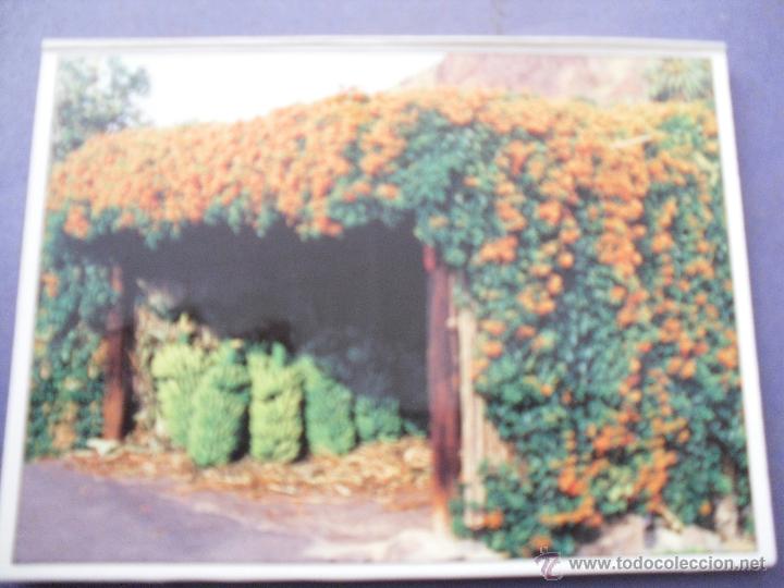 Postales: media postal - la gomera - Foto 1