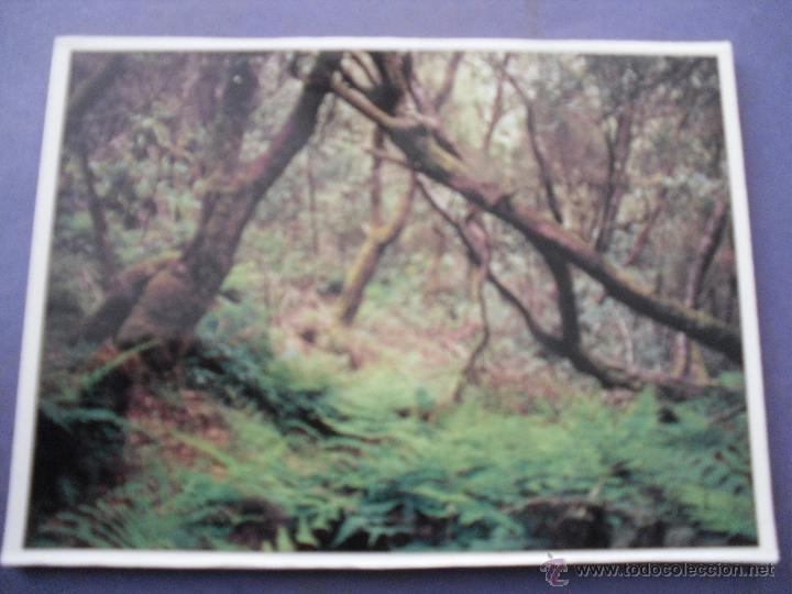 Postales: media postal - la gomera - Foto 1