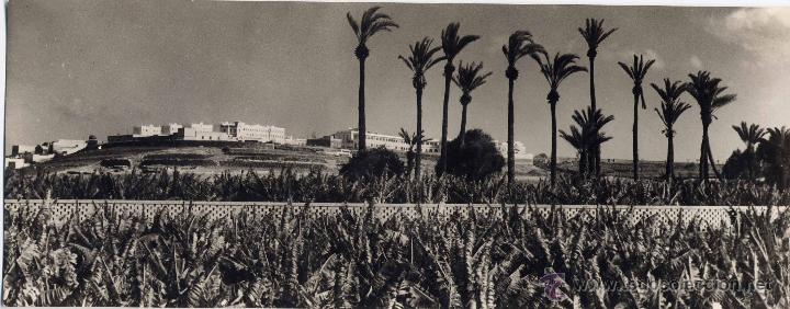 Postales: GRAN CANARIA.- AFUERAS DE LAS PALMAS- SERIE III- N&ordm; 238