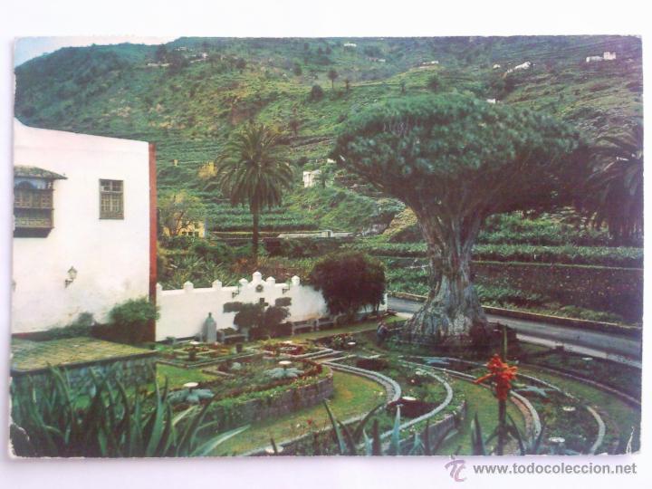 Postales: POSTAL ICOD DE LOS VINOS, DRAGO MILENARIO Y PAISAJE