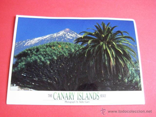 Postales: SIN CIRCULAR. TENERIFE.... - Foto 1