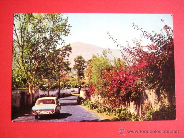 Postales: SIN CIRCULAR.  TENERIFE.... - Foto 1