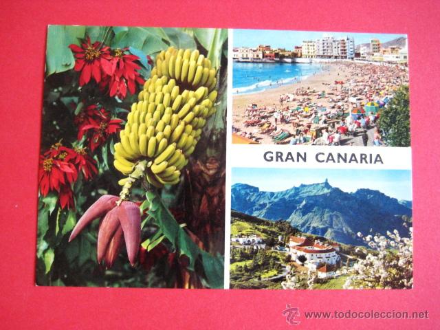 Postales: SIN CIRCULAR. GRAN CANARIA...