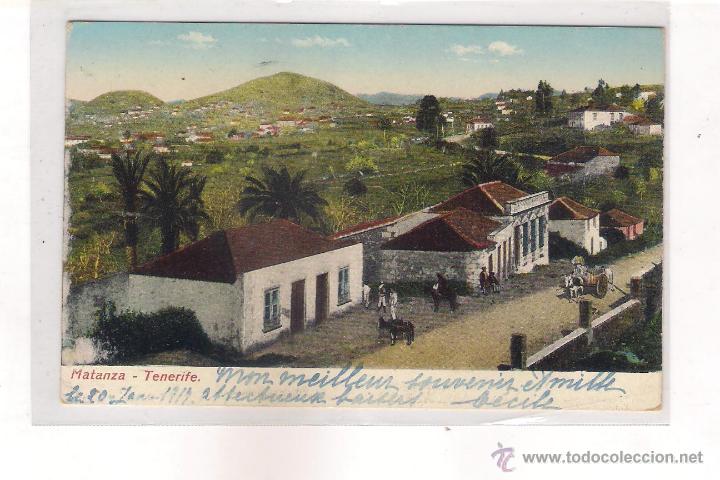 Postales: POSTAL DE MATANZA  TENERIFE .