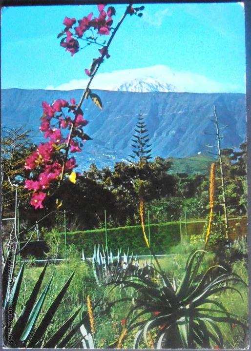Postales: (15866)POSTAL ESCRITA,UNA VISTA DESDE EL PARQUE DE TAORO CON TEIDE,PUERTO DE LA CRUZ,SANTA CRUZ DE T