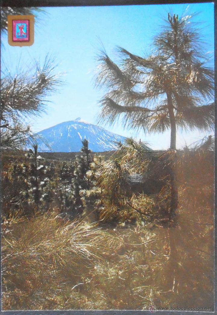 Postales: (18974)POSTAL SIN CIRCULAR,EL TEIDE (TENERIFE),SANTA CRUZ DE TENERIFE,SANTA CRUZ DE TENERIFE,CANARIA