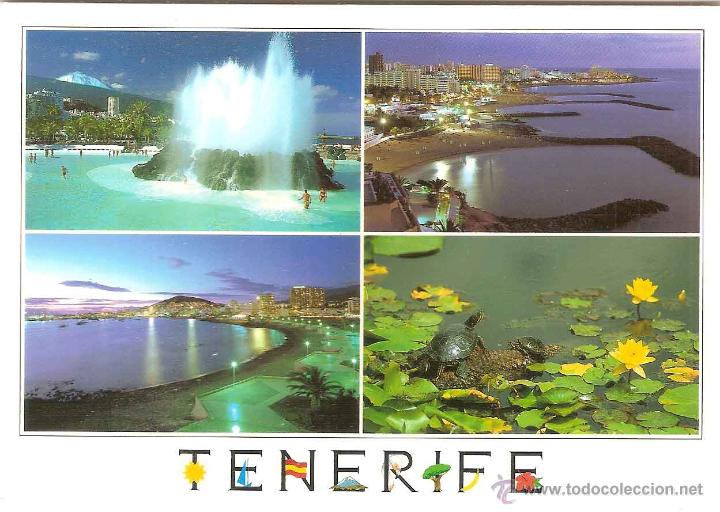 Postales: PUERTO DE LA CRUZ(TENERIFE), PASEO MARTI&Aacute;NEZ, PLAYA AM&Eacute;RICAS, LOS CRISTIANOS, JARD&Iacute;N BOT&Aacute;NICO