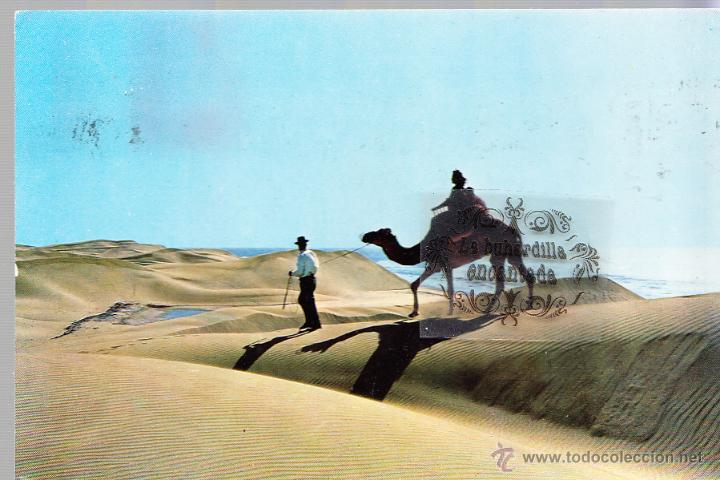 Postales: POSTAL - CANARIAS - GRAN CANARIA - PLAYA MASPALOMAS - CICULADA CON SELLO EN 1966