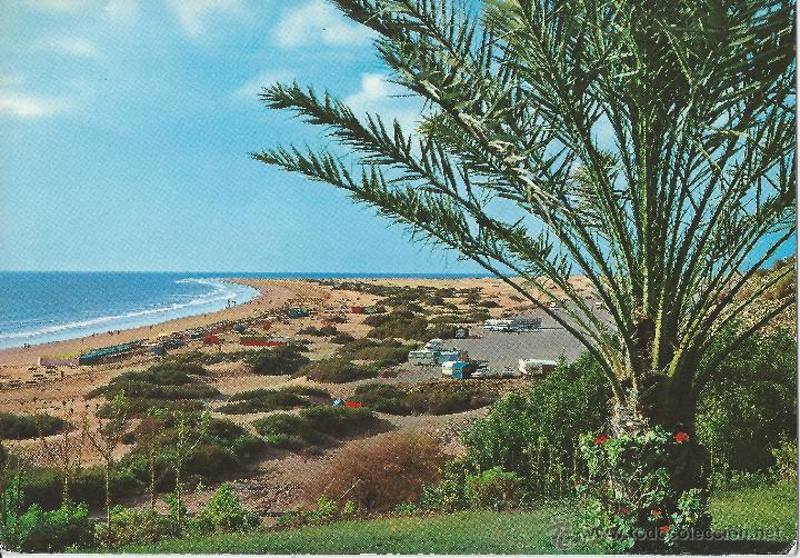Postales: PLAYA DEL INGLES 463 - Foto 1