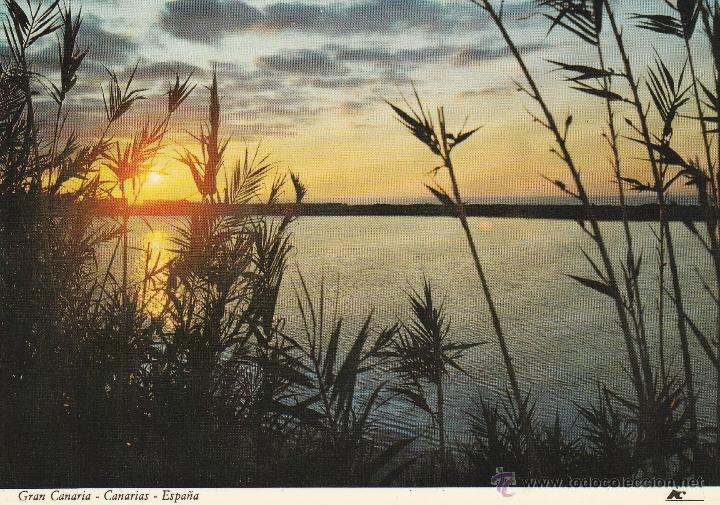 Postales: N&ordm; 12791 POSTAL GRAN CANARIA - Foto 1