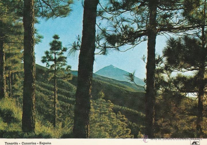 Postales: N&ordm; 13070 POSTAL TENERIFE TEIDE - Foto 1