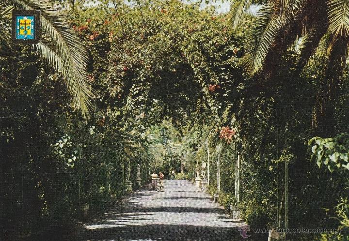 Postais: N&ordm; 13720 POSTAL SANTA CRUZ DE TENERIFE