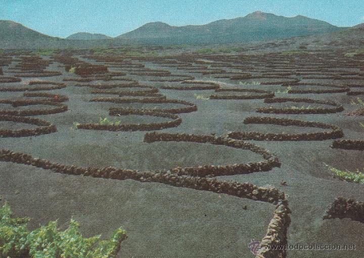 Postales: N&ordm; 13606 POSTAL LANZAROTE LA GERIA - Foto 1