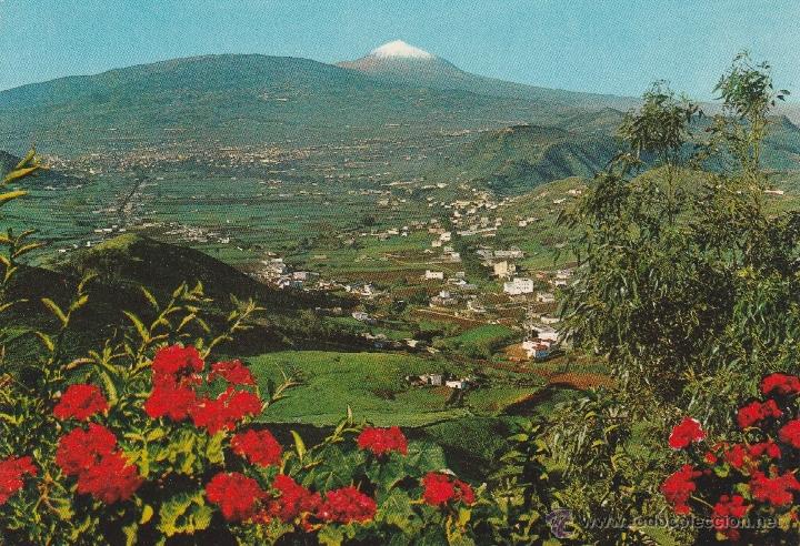 Postais: N&ordm; 13596 TENERIFE LAS MERCEDES VEGA LAGUNERA