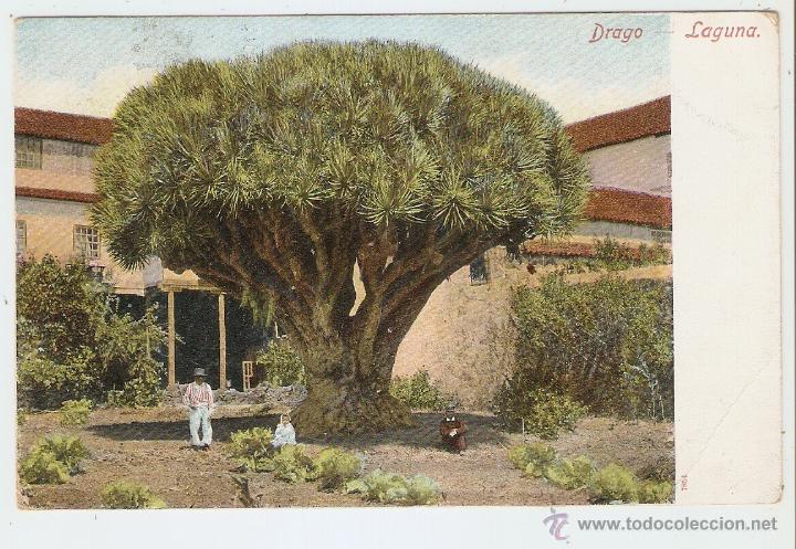 Postales: DRAGO. LAGUNA 1904 - Foto 1