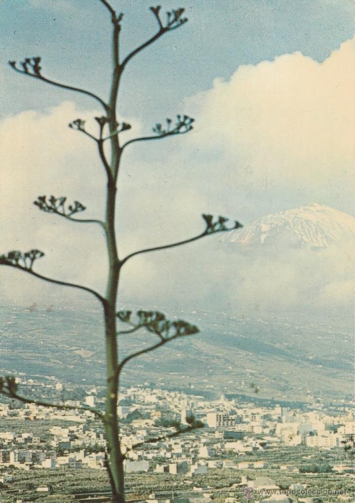 Cartoline: N&ordm; 20324 POSTAL VISTA DEL TEIDE LA OROTAVA SANTA CRUZ DE TENERIFE