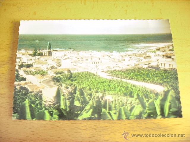 Postales: PUERTO DE LA CRUZ  ( TENERIFE )  VISTA PARCIAL