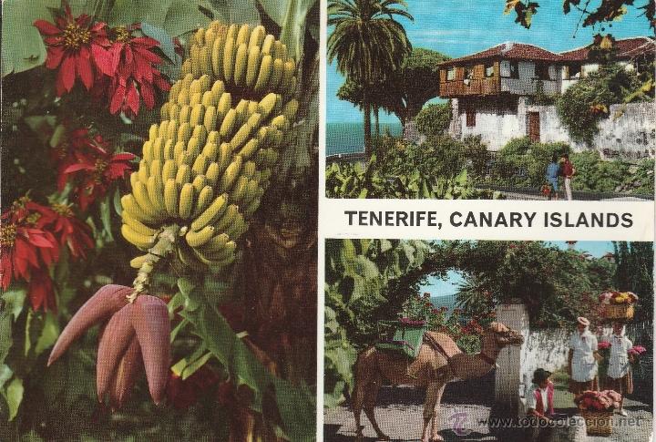 Postales: N&ordm; 21804 POSTAL TENERIFE - Foto 1